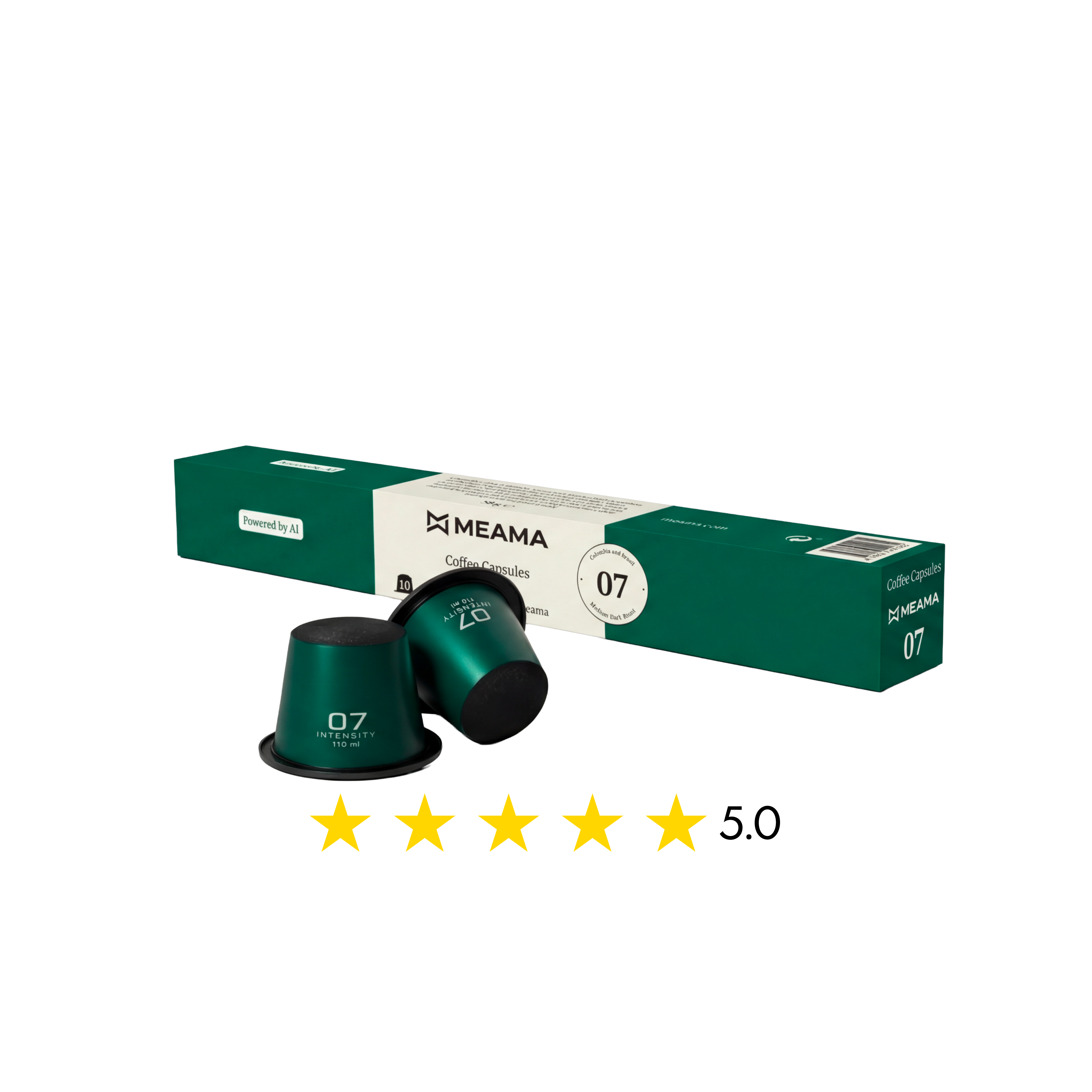 แแฌแแแแ 07