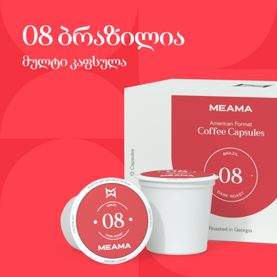 ბრაზილია 08