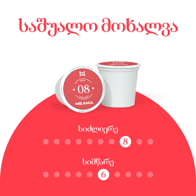 ბრაზილია 08